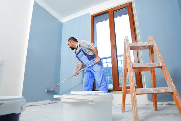 Best Black Mold Removal  in Sebring, OH