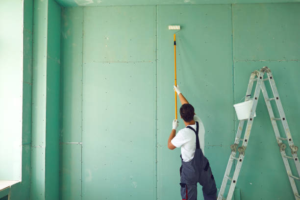 Best Mold Odor Removal Services  in Sebring, OH