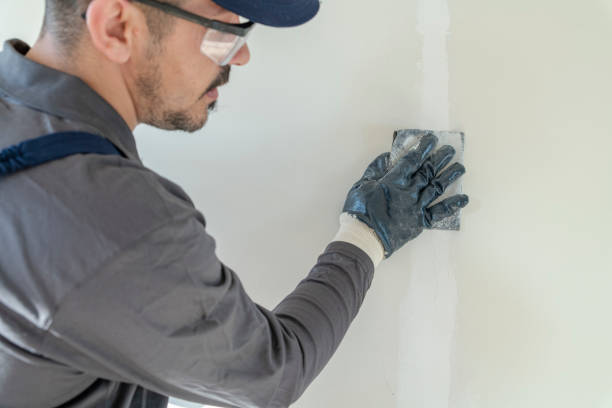Forensic Mold Investigation in Sebring, OH