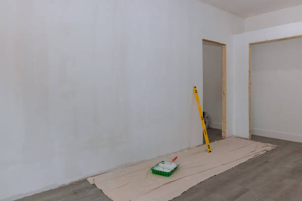 Best Mold Damage Restoration  in Sebring, OH