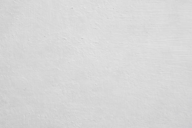 Mold Documentation for Insurance Claims in Sebring, OH