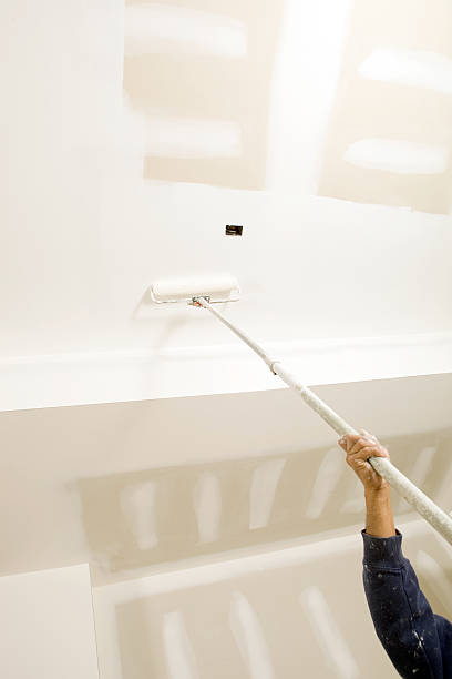 Best Water Damage & Mold Remediation  in Sebring, OH