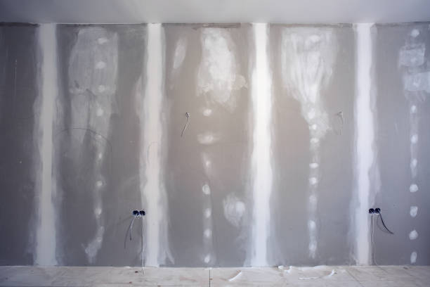 Reliable Sebring, OH Mold Removal Solutions